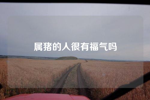 属猪的人很有福气吗