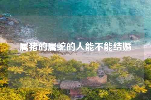 属猪的属蛇的人能不能结婚