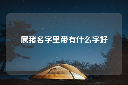 属猪名字里带有什么字好