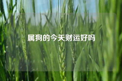 属狗的今天财运好吗