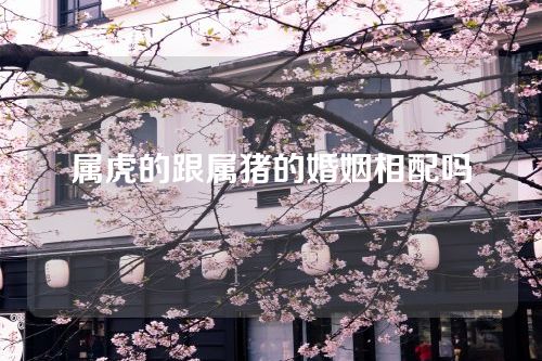 属虎的跟属猪的婚姻相配吗