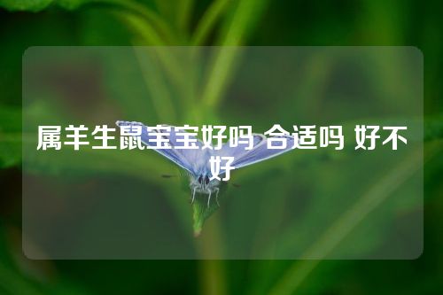 属羊生鼠宝宝好吗 合适吗 好不好