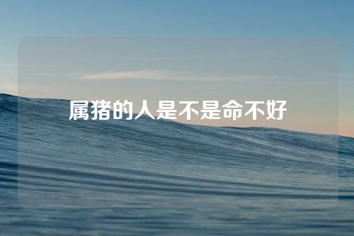 属猪的人是不是命不好