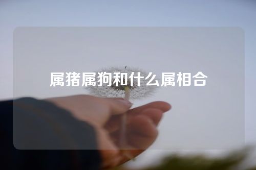 属猪属狗和什么属相合