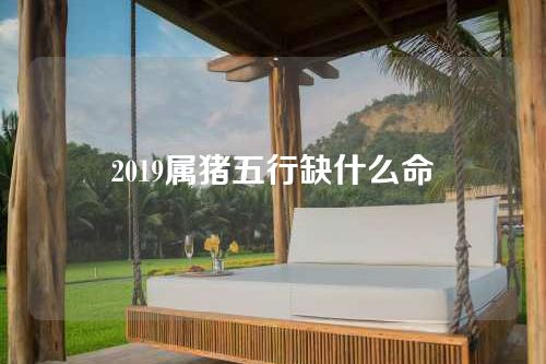 2019属猪五行缺什么命