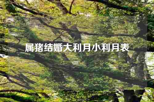 属猪结婚大利月小利月表