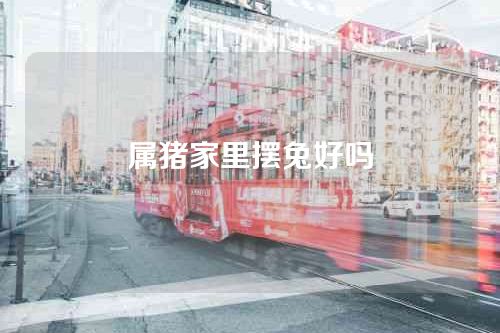 属猪家里摆兔好吗