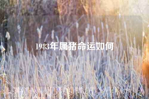 1983年属猪命运如何