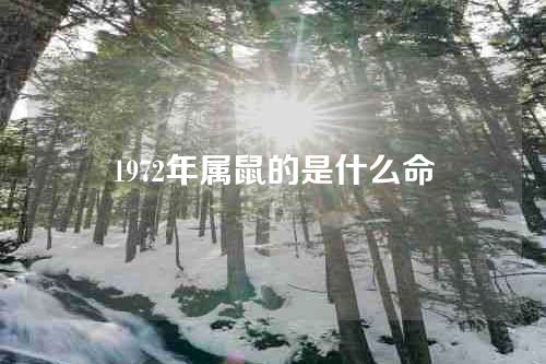 1972年属鼠的是什么命