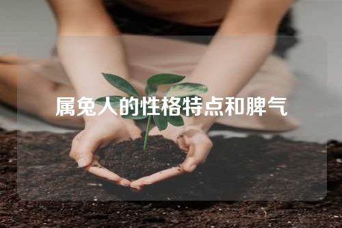 属兔人的性格特点和脾气