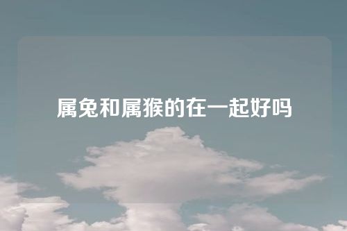 属兔和属猴的在一起好吗