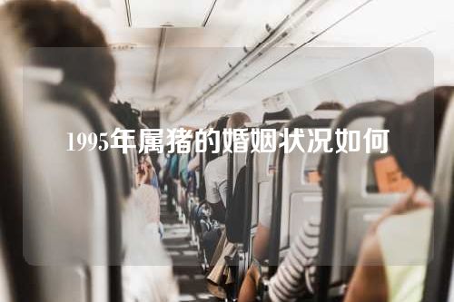 1995年属猪的婚姻状况如何