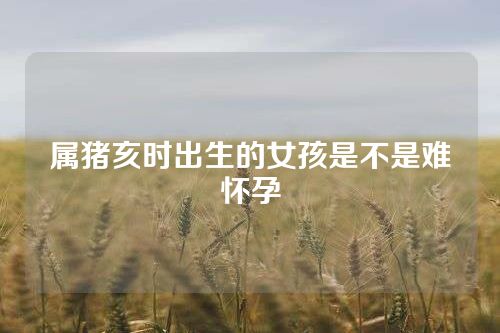 属猪亥时出生的女孩是不是难怀孕
