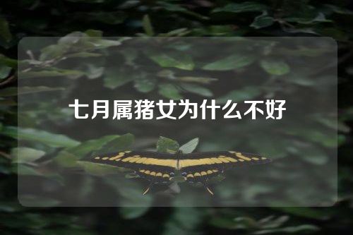 七月属猪女为什么不好