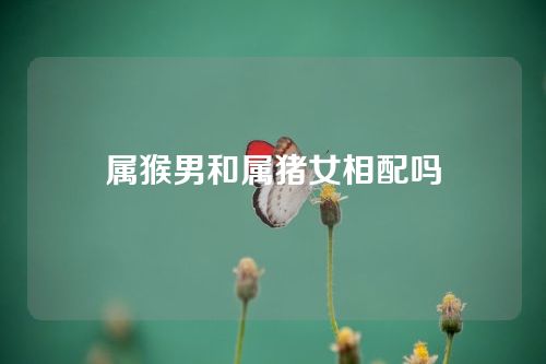 属猴男和属猪女相配吗