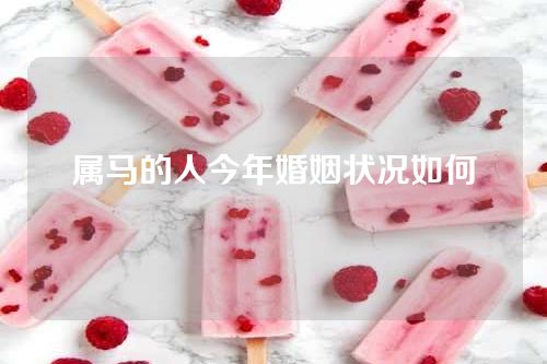 属马的人今年婚姻状况如何