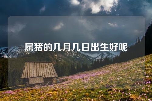 属猪的几月几日出生好呢