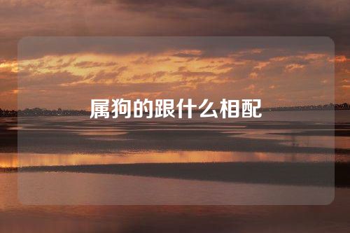 属狗的跟什么相配