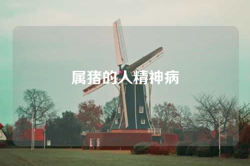 属猪的人精神病