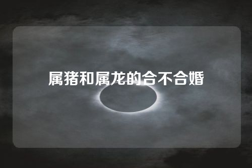 属猪和属龙的合不合婚