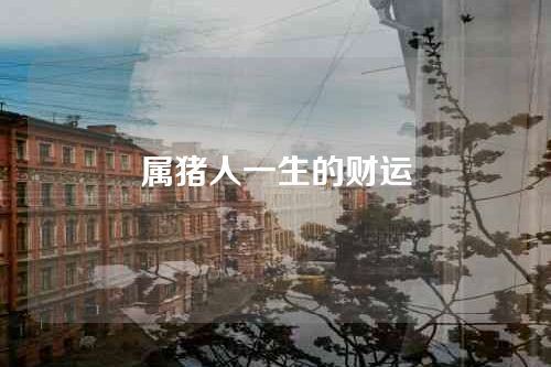 属猪人一生的财运