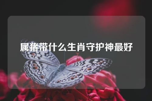 属猪带什么生肖守护神最好